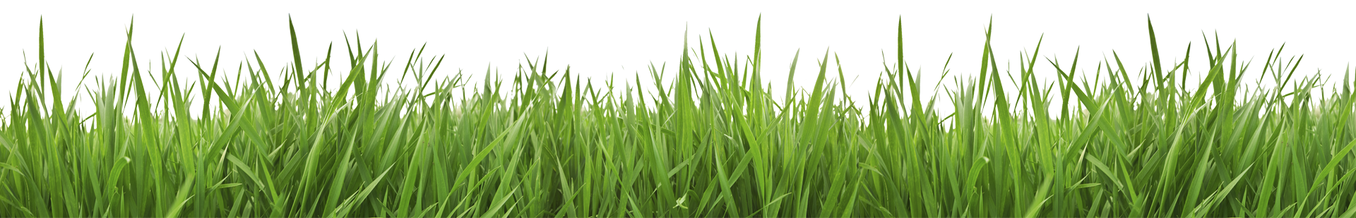 Grass Masters S.A.
